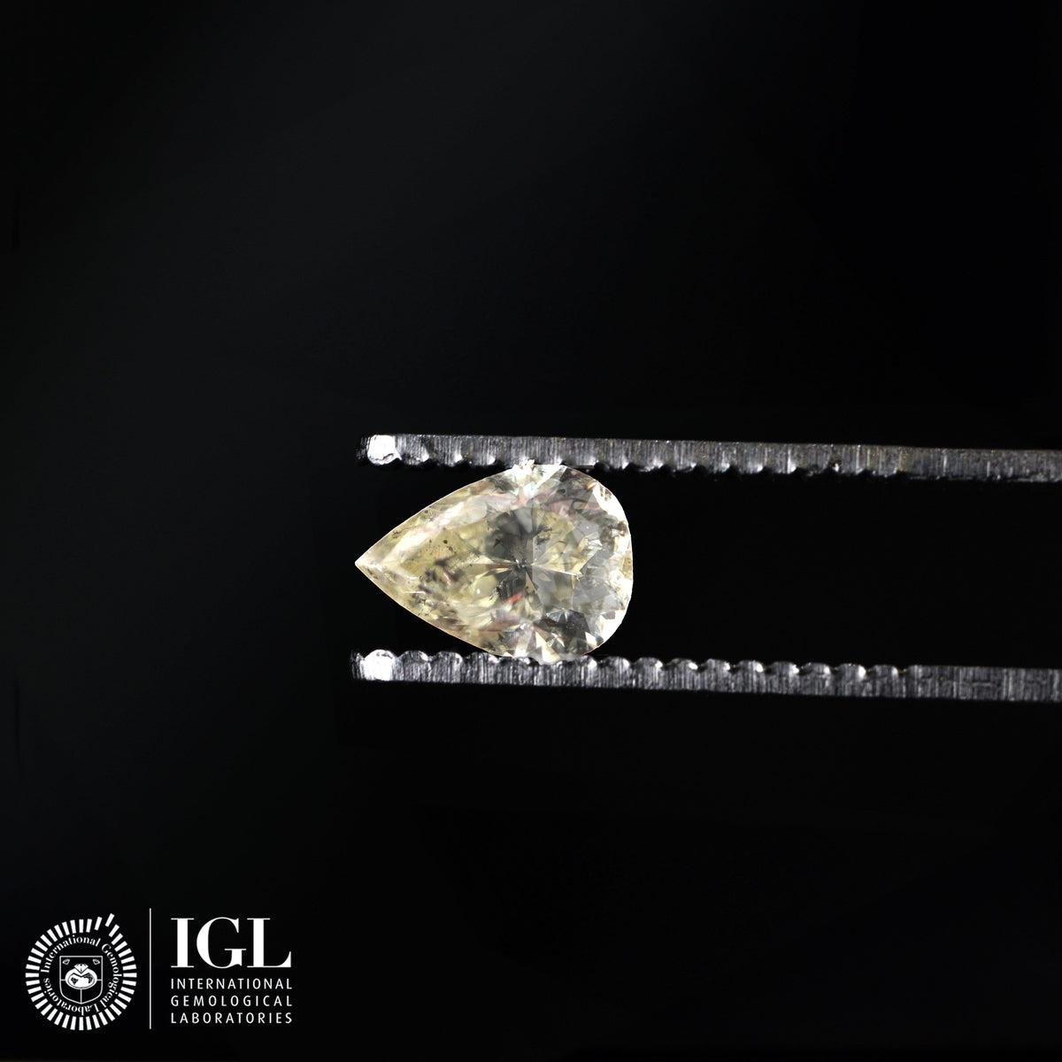 NATURAL DIAMOND BY SALEH SALLOM | 0.56 CT